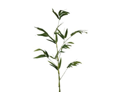 6367 6367 1 pixelcut export 2025 07 29t154944 773