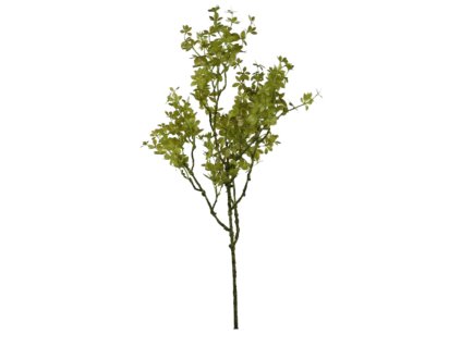 6376 1 6376 1 pixelcut export 13