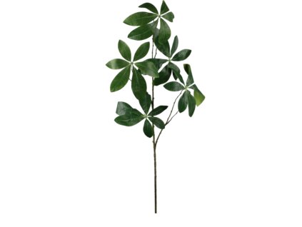 6382 1 6382 1 pixelcut export 11