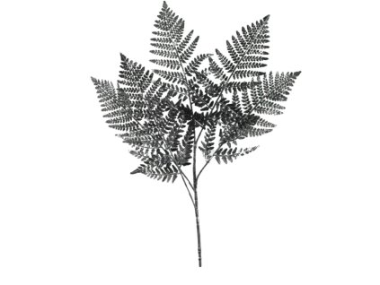 6409 6409 1 pixelcut export 1237