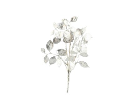 6418 6418 1 pixelcut export 1239