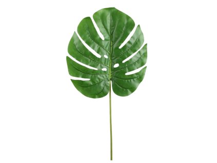 6439 1 6439 pixelcut export 78