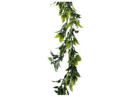 6442 pixelcut export 2025 11 09t145737 480