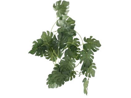 6448 1 6448 pixelcut export 53