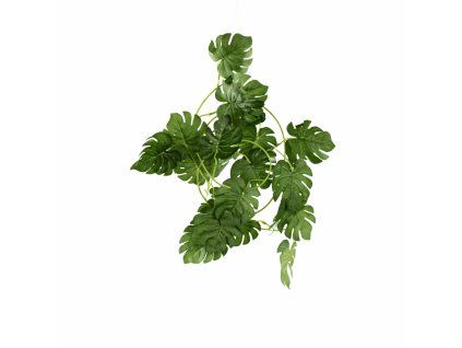 ChatGPT Image 25. 2. 2026, 18 50 50