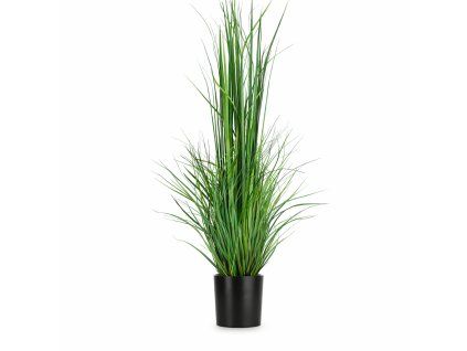 ChatGPT Image 26. 2. 2026, 13 36 12