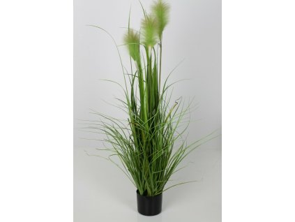 6622 6622 6622 56376 1 trava aranzman 120cm