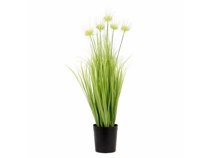 ChatGPT Image 25. 2. 2026, 19 03 39