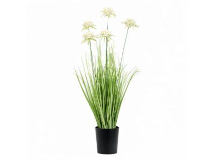 ChatGPT Image 25. 2. 2026, 19 05 06