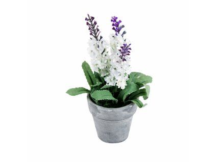 ChatGPT Image 26. 2. 2026, 12 32 09