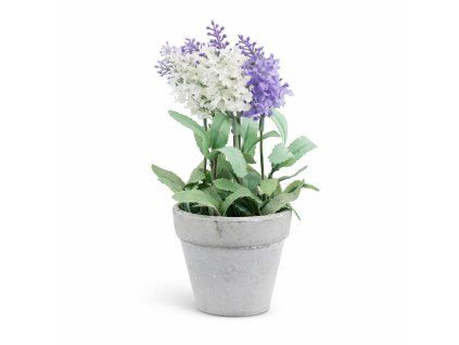 ChatGPT Image 25. 2. 2026, 19 57 18