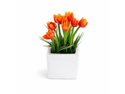 ChatGPT Image 25. 2. 2026, 19 20 25