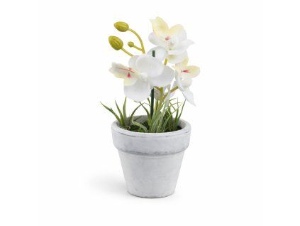 ChatGPT Image 25. 2. 2026, 19 53 15