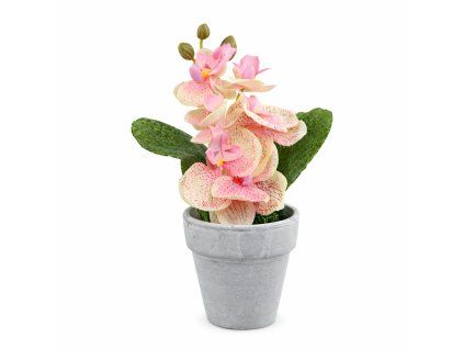 ChatGPT Image 26. 2. 2026, 12 44 33