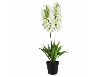 ChatGPT Image 19. 2. 2026, 19 20 24