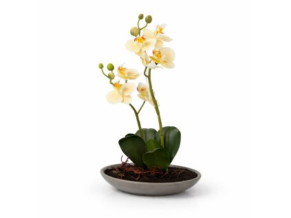 ChatGPT Image 17. 2. 2026, 20 08 52