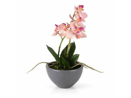 ChatGPT Image 19. 2. 2026, 21 03 22