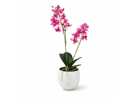 ChatGPT Image 23. 2. 2026, 20 08 27