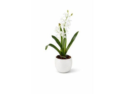 ChatGPT Image 23. 2. 2026, 20 14 18