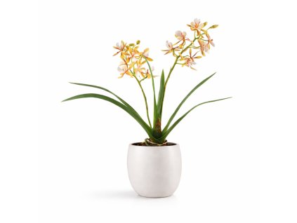 ChatGPT Image 20. 2. 2026, 19 19 42