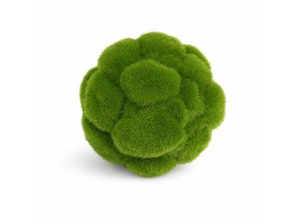 ChatGPT Image 23. 2. 2026, 15 28 09