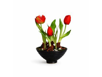 ChatGPT Image 21. 2. 2026, 09 52 18