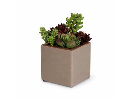 ChatGPT Image 19. 2. 2026, 19 02 12