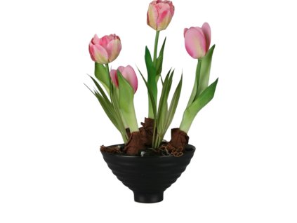 6961 6961 2 pixelcut export 1928