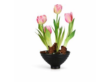 ChatGPT Image 21. 2. 2026, 09 51 53