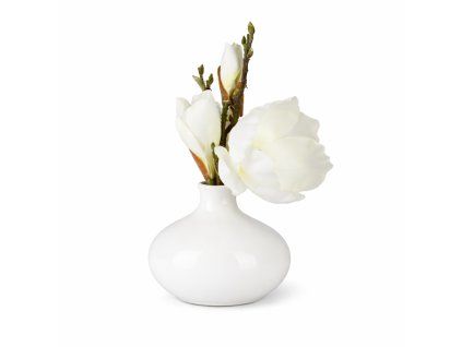 ChatGPT Image 19. 2. 2026, 18 56 53