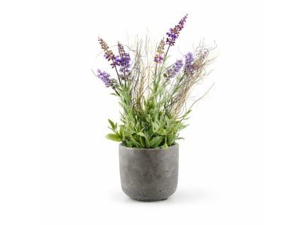 ChatGPT Image 21. 2. 2026, 12 58 57