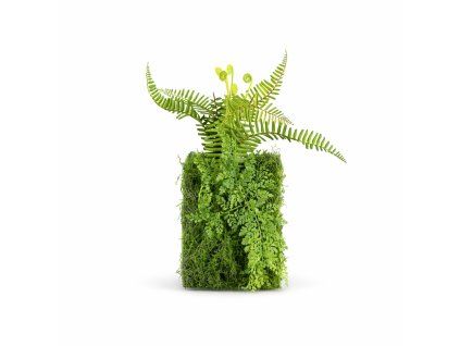 ChatGPT Image 23. 2. 2026, 21 06 20