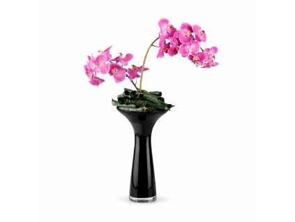 ChatGPT Image 24. 2. 2026, 21 42 28