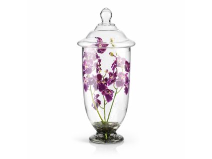 ChatGPT Image 20. 2. 2026, 19 15 04