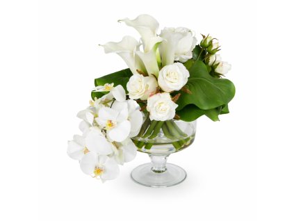 ChatGPT Image 24. 2. 2026, 21 39 21