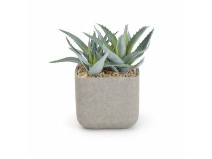 ChatGPT Image 19. 2. 2026, 19 21 44