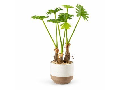 ChatGPT Image 20. 2. 2026, 19 31 56