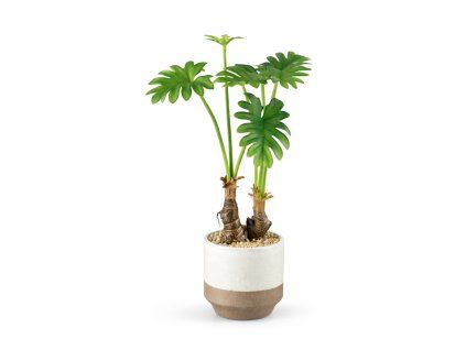 ChatGPT Image 20. 2. 2026, 19 35 21