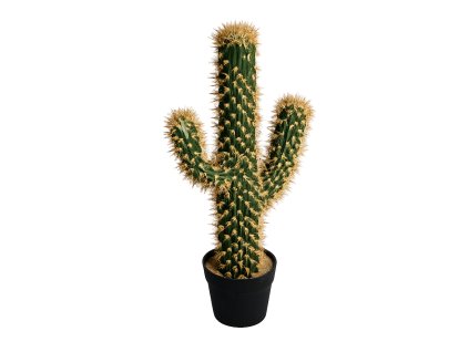 ChatGPT Image 31. 1. 2026, 19 18 05