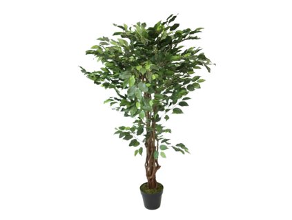 7288 2 7288 pixelcut export 2025 06 11t123839 802