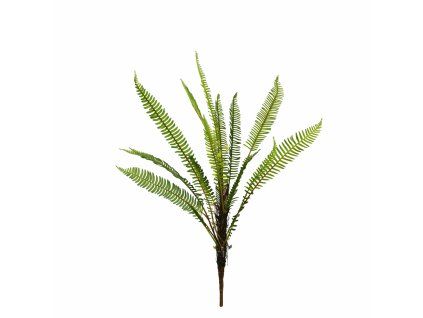 ChatGPT Image 26. 2. 2026, 12 57 24