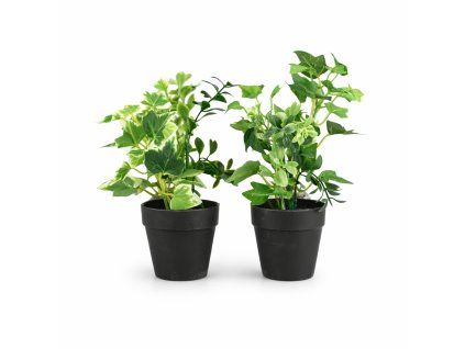 ChatGPT Image 25. 2. 2026, 14 45 43