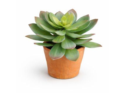 ChatGPT Image 25. 2. 2026, 14 30 49