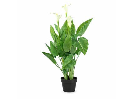 ChatGPT Image 26. 2. 2026, 13 56 44