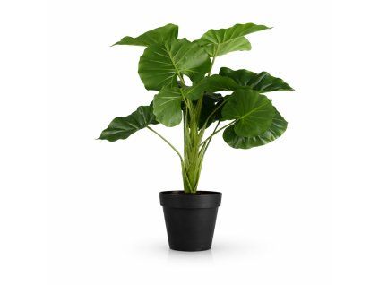 ChatGPT Image 17. 2. 2026, 20 26 36