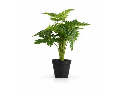 ChatGPT Image 25. 2. 2026, 15 27 29