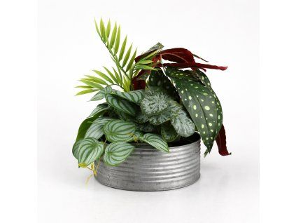 ChatGPT Image 23. 2. 2026, 22 07 05