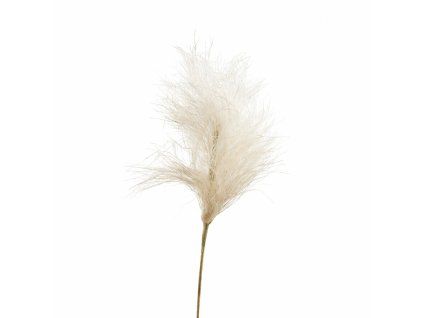 ChatGPT Image 18. 2. 2026, 15 51 46