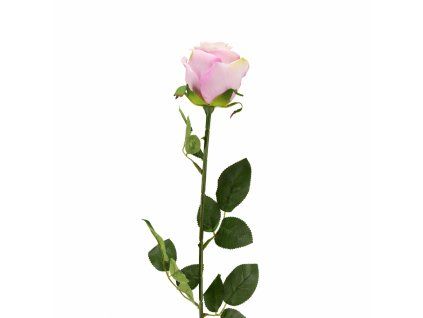 ChatGPT Image 20. 2. 2026, 14 29 49