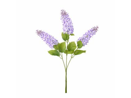 ChatGPT Image 20. 2. 2026, 13 31 39